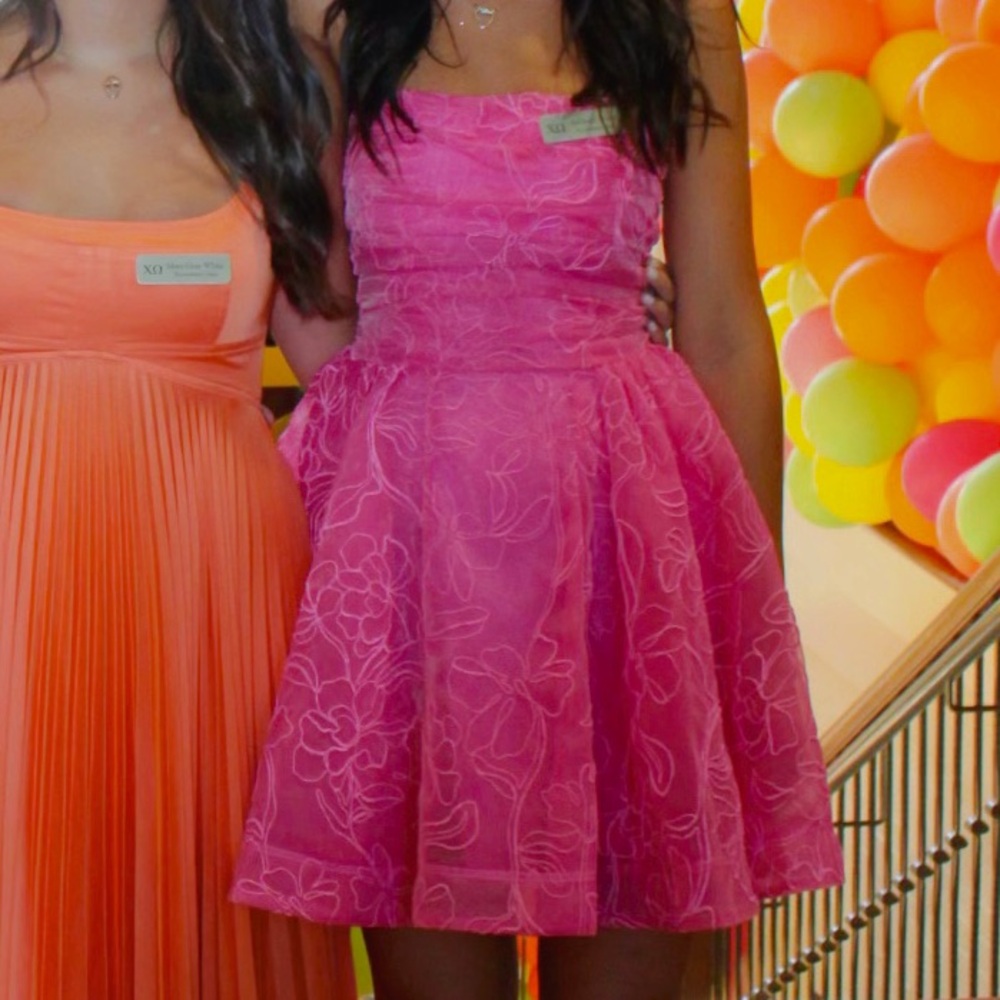 Aje Pink Embroidered Dress